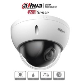 Cámara PTZ IP Dahua Technology DH-SD22204DB-GNY