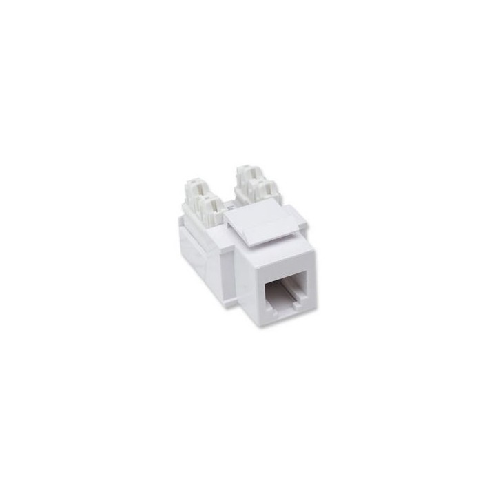 Keystone Jack INTELLINET 210843