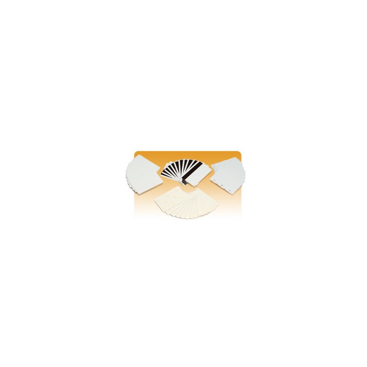 Zebra Tarjeta de PVC con Adhesivo en Reverso ZEBRA 104523-010