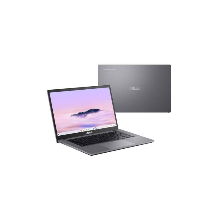 Laptops Asus Business NB CX3402CVA-C38G256-C1