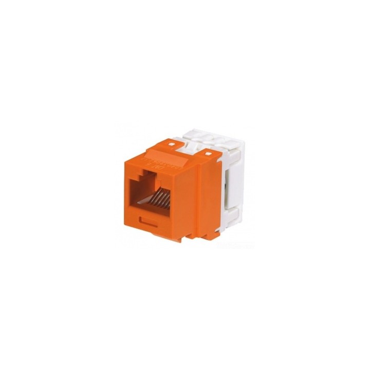 Jack PANDUIT CJ688TGOR